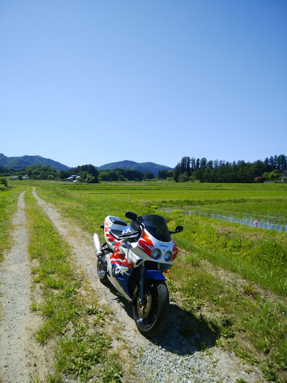 その他の麦フォルニア・まきばのジャージー・道端の花と・草ヒロ街道をゆく・田んぼルニアに関するカスタム事例の投稿画像1枚目