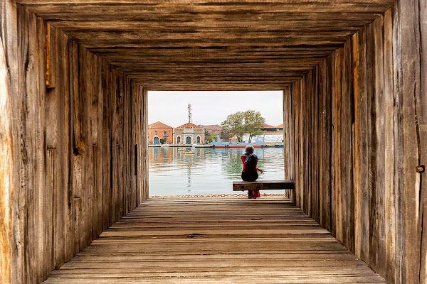 Tunnel of wood di marcopaciniphoto