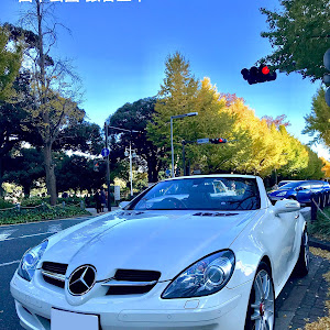 SLK R171