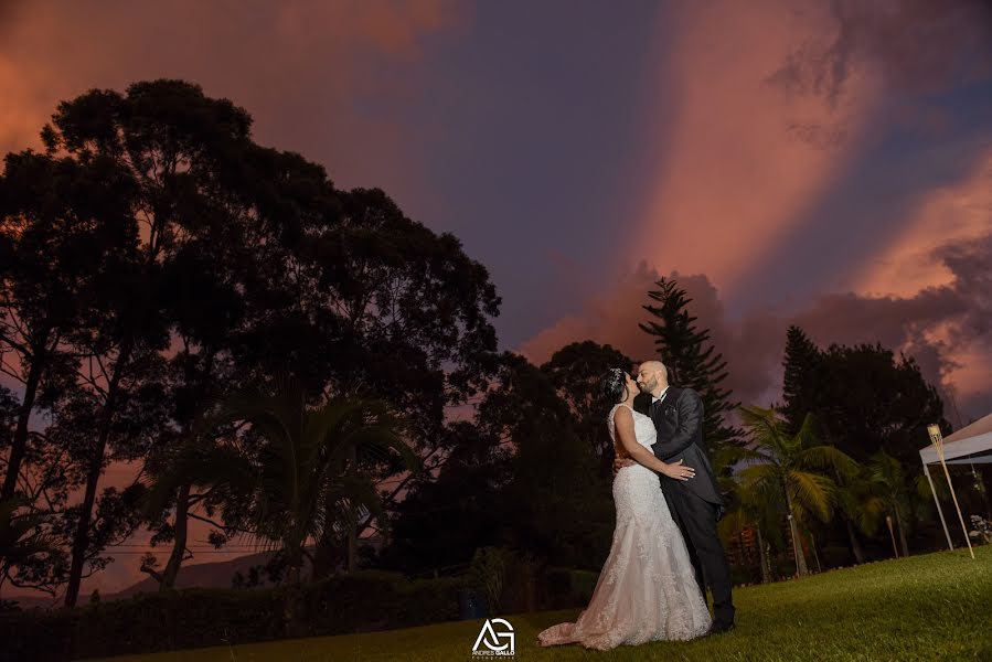 Fotógrafo de bodas Andres Gallo (andresgallo). Foto del 20 de noviembre 2017