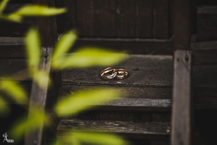 Fotógrafo de casamento Aleksandr Andreev (masa). Foto de 26 de agosto 2016