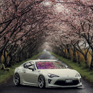 86