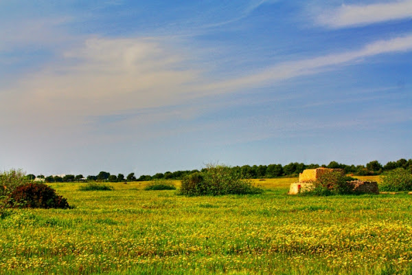 Campagna Salentina di kerbero87