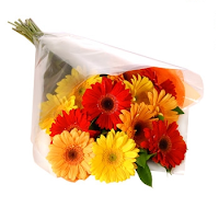 Cvetni aranžman 'Šareni gerberi' iz ponude Cvećare Niš