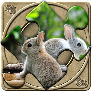 FlipPix Jigsaw - Sibs.apk 1.9.5