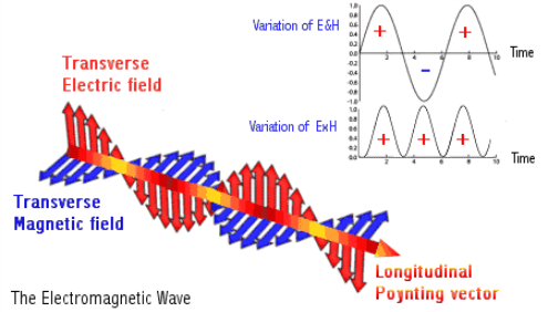 poy_vector_electro_EM_korea-1