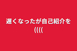 遅くなったが自己紹介を((((