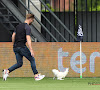 🎥 Des oeufs lancés et un poulet sur la pelouse en guise de protestation, lors d'Heracles - Heerenveen
