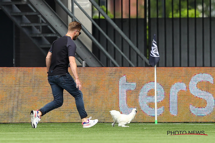 🎥 Des oeufs lancés et un poulet sur la pelouse en guise de protestation, lors d'Heracles - Heerenveen