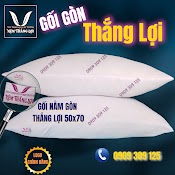 Gối Gòn Thắng Lợi Loại 1, Gối Gòn Ép Hơi Cao Cấp(Có Khóa Kéo, Giặt Được)