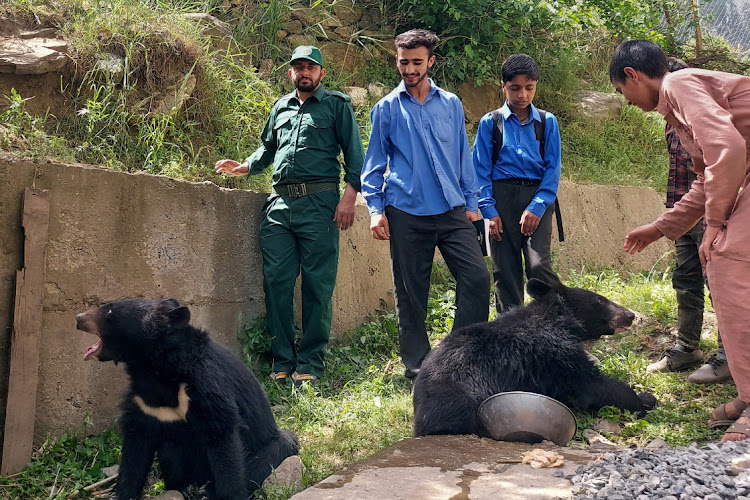 Students and residents play with a pair of Asian black bears, rescued a year ago near the Line of Control (LoC), at the Wildlife and Fisheries department in a Dawarian village in Neelum Valley, Pakistan-administrated Kashmir, June 12, 2021.