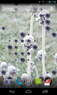 Nature Life LWP(圖3)-速報App