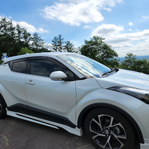 C-HR NGX50