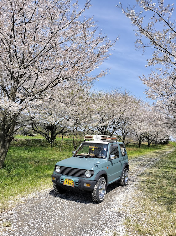 パジェロミニのパジェロミニのある生活・春を探して‥・桜・愛媛散歩に関するカスタム事例の投稿画像4枚目