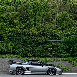 NSX