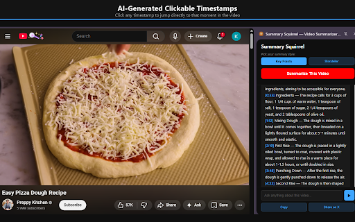 On Device AI YouTube Summarizer — Summary Squirrel screenshot 2