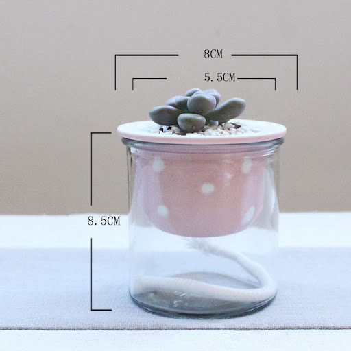 Title 5, Cartoon glass ceramic flower pot, perfect for f...