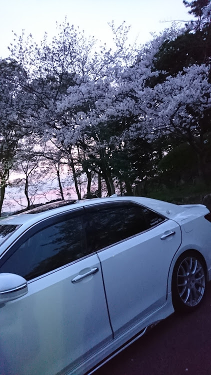クラウンアスリートの桜・桜と愛車・夜桜・📸活🎵・210special☆に関するカスタム事例の投稿画像9枚目
