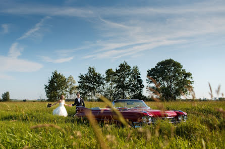 Fotógrafo de casamento Tatyana Shmeleva (wmelek). Foto de 28 de junho 2016