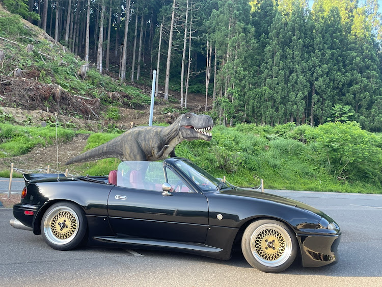ロードスターの新緑と愛車・６月もよろしくお願いします・ドライブ・DIY・洗車に関するカスタム事例の投稿画像1枚目