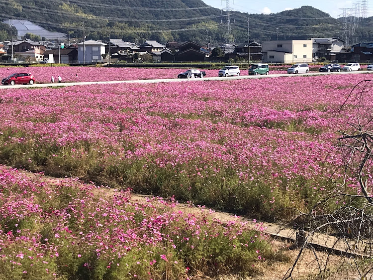 の投稿画像2枚目