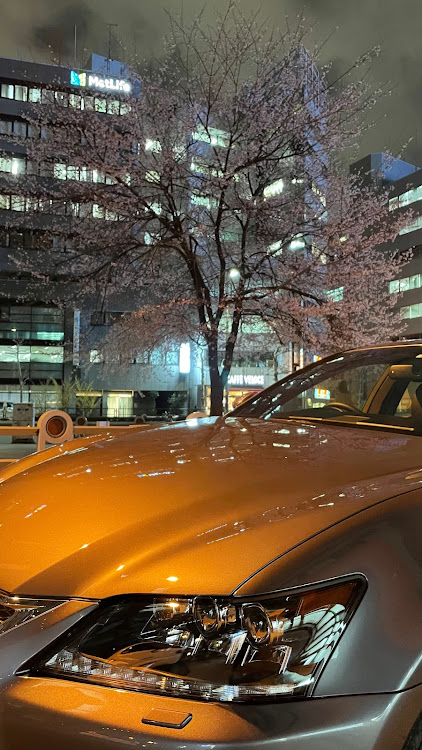GSの桜と愛車・眼力選手権・洗車・神田まつや・代々木公園に関するカスタム事例の投稿画像1枚目