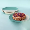 Polychrome Set of 4 Dinner Plate