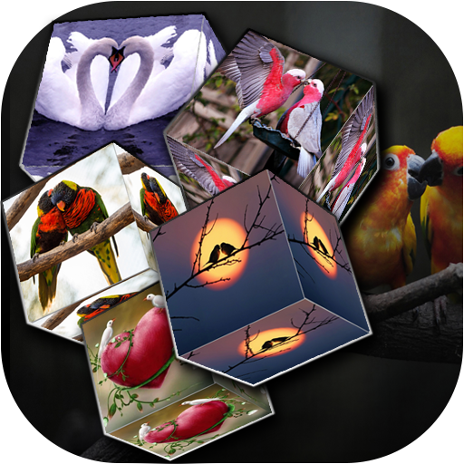 Love Bird Cube Live Wallpaper Aplikasi Di Google Play