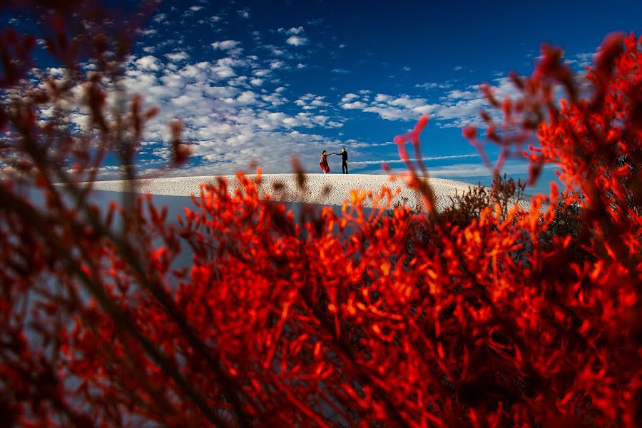 Fotógrafo de bodas Jesse La Plante (jlaplantephoto). Foto del 18 de noviembre 2021