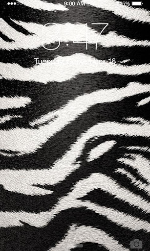 Zebra Wallpaper