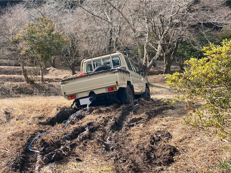 の投稿画像1枚目