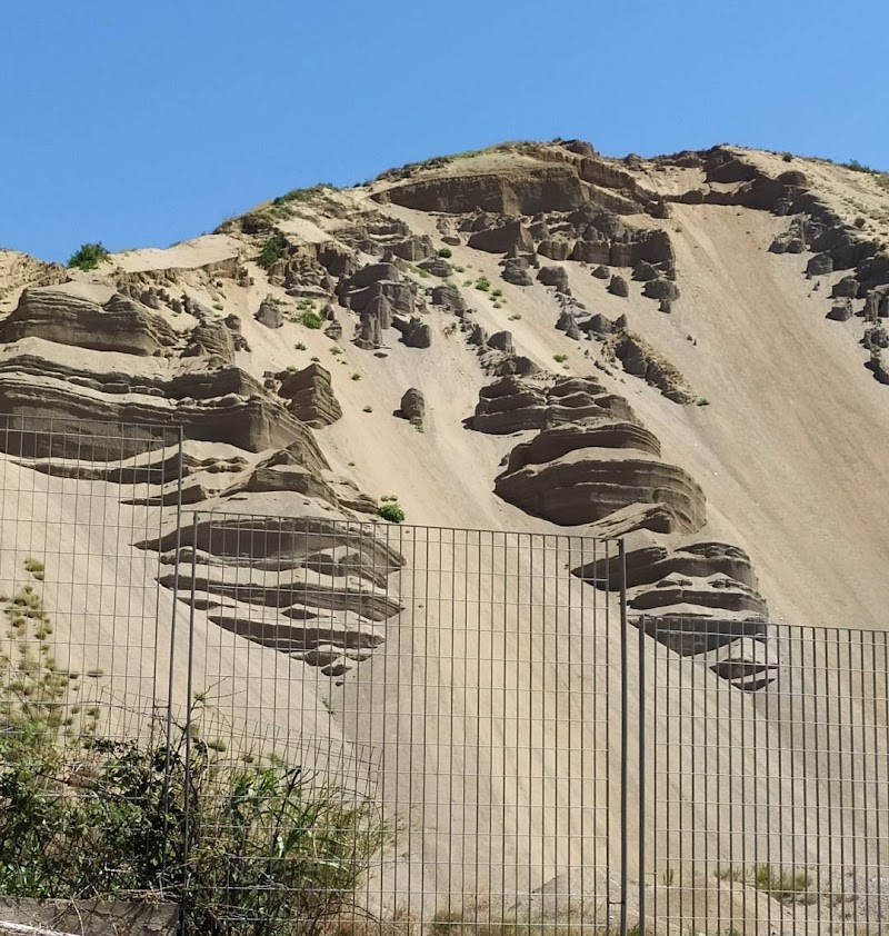 Il deserto fiorirà di mariella_aliotta