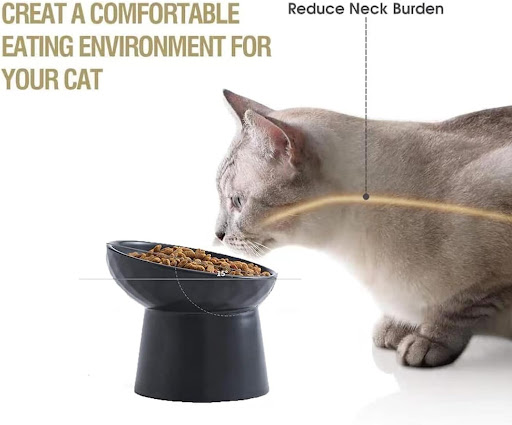 Title 1, Ceramic Raised Cat Bowls Elevated Porcelain Pet...