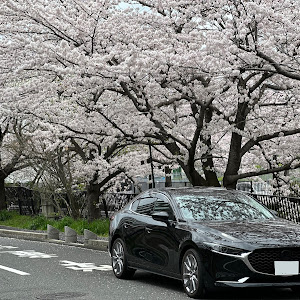 MAZDA3 BP8P