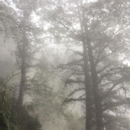 太平山 雲海咖啡館