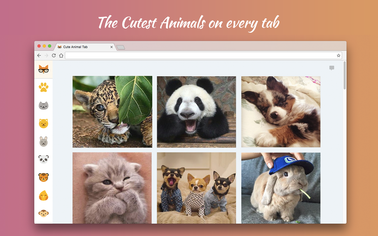 Cute Animal Tab - New Tab Theme Preview image 3