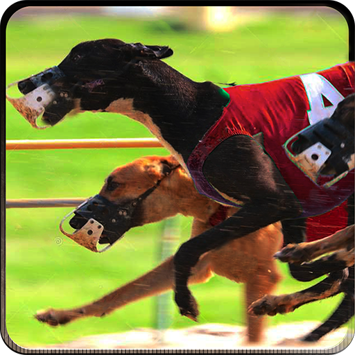 Chien Greyhound Racing 3D icon