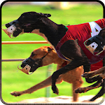 Cover Image of Unduh Greyhound Dog Racing 3D 1.1 APK
