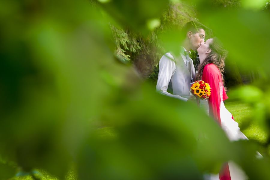 Fotógrafo de casamento Michele Pelosin (pelosin). Foto de 10 de julho 2015