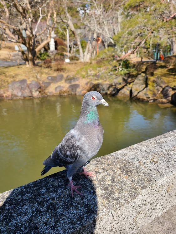 の投稿画像10枚目