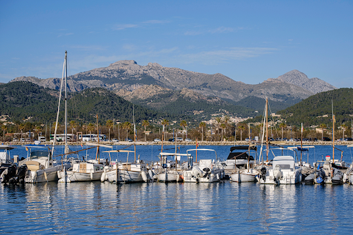 Maison avec piscine et jardin 5