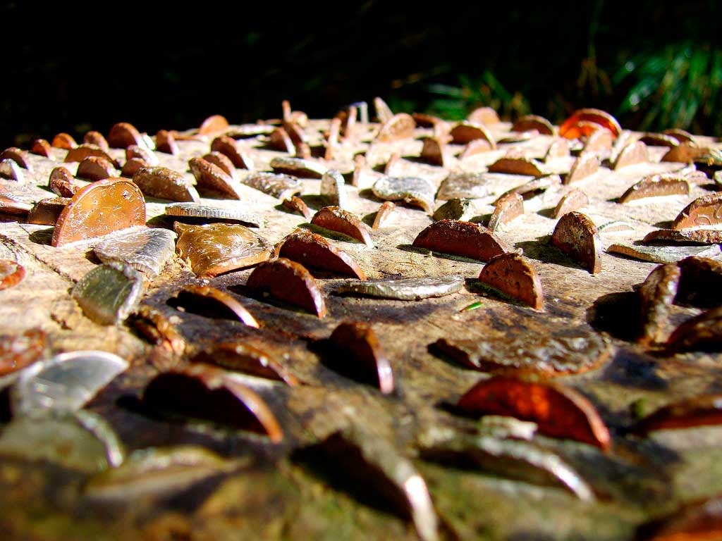 Wish Tree, árvores do dinheiro do Reino Unido