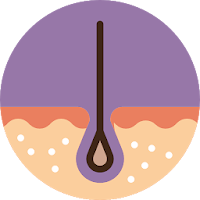 Visus Skin Cancer Detection