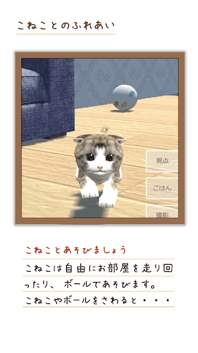 Cat Simulation Game 3D