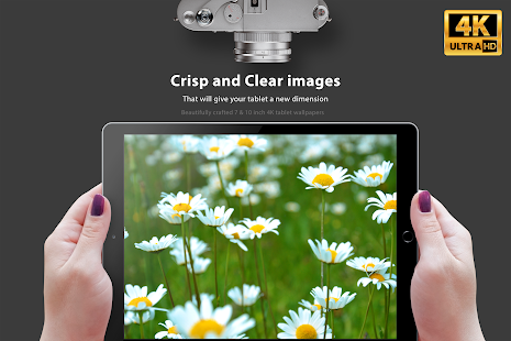 Flower Wallpapers 4K Backgrounds Flora Screenshot