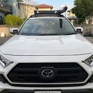 RAV4 MXAA54