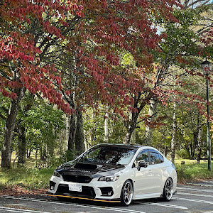 WRX S4 VAG