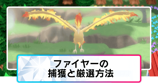 ポケモンダイパリメイク ファイヤーの捕まえ方と厳選方法 sp 神ゲー攻略