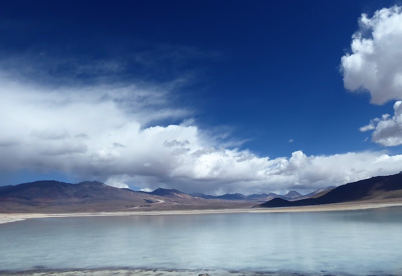 LAGUNAS DE COLORES:RESERVA NACIONAL DE FAUNA ANDINA EDUARDO AVAROA. BOLIVIA - CHILE: Atacama ( con extensión a Uyuni) y Carretera Austral (6)