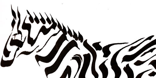 Zebra Knight Band